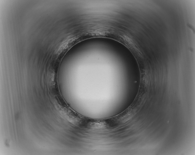 X0000100340548200806051540