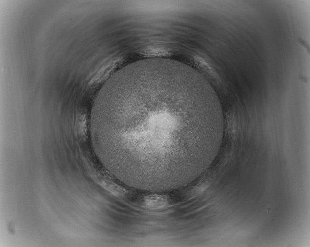 X0000100340549200806051541