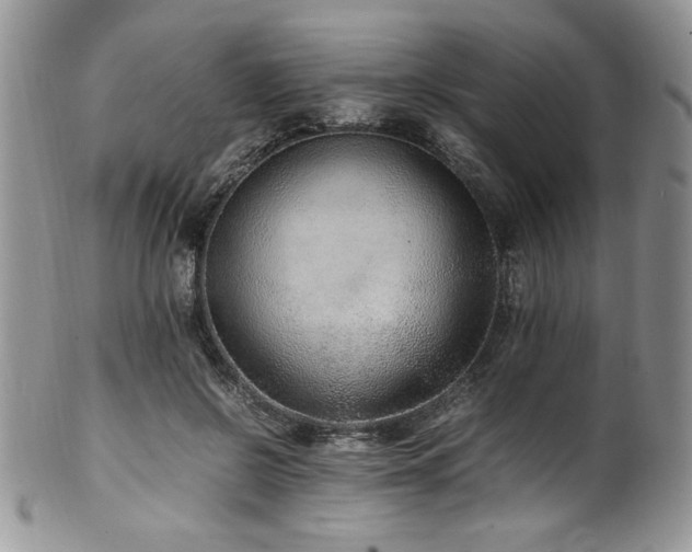 X0000100340550200806051541