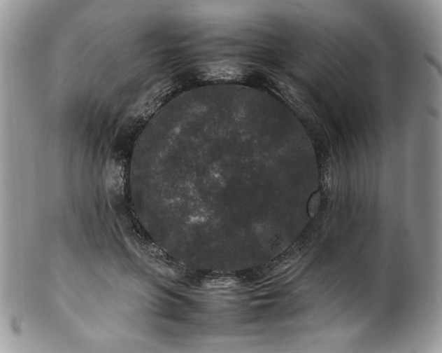 X0000100340551200806051541