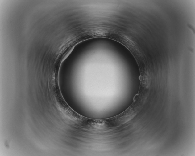 X0000100340552200806051541