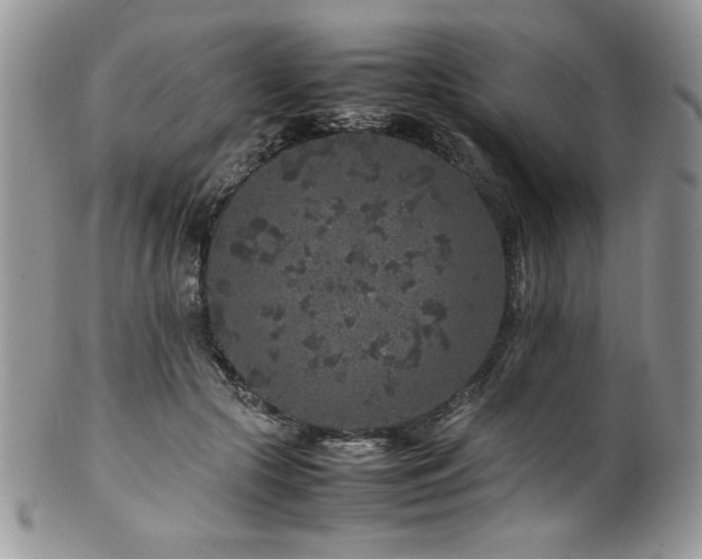 X0000100340553200806051541