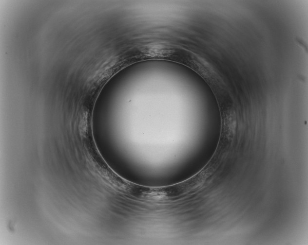 X0000100340554200806051541