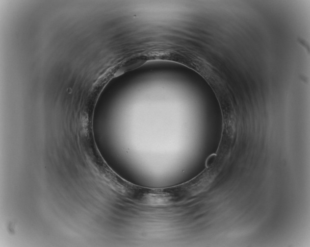 X0000100340556200806051541