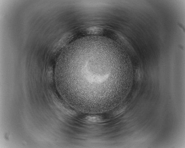 X0000100340557200806051541