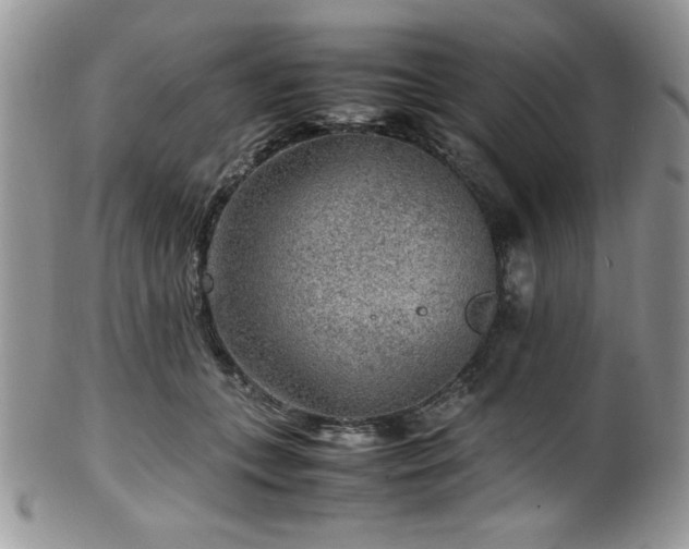 X0000100340559200806051541