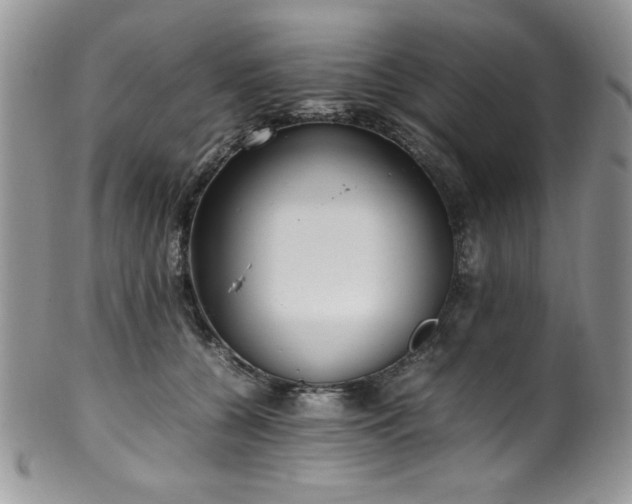 X0000100340560200806051541