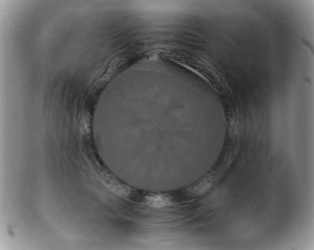 X0000100340561200806051541