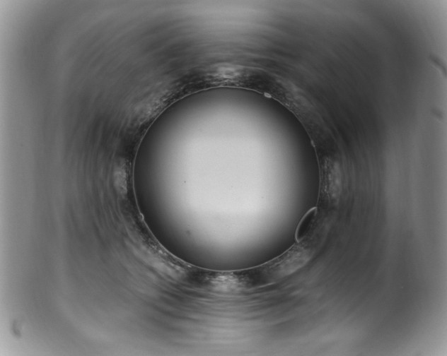 X0000100340562200806051541