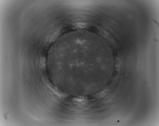 X0000100340563200806051541