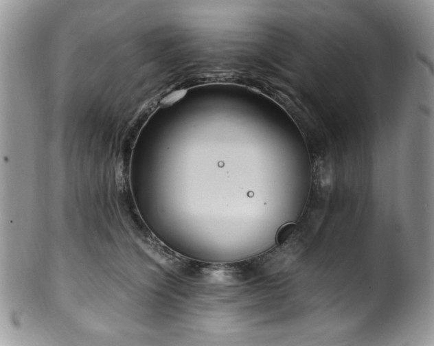 X0000100340564200806051541