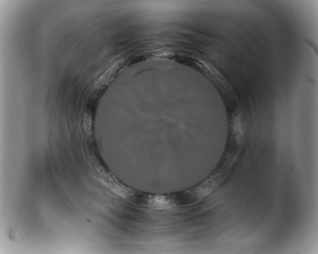 X0000100340565200806051541