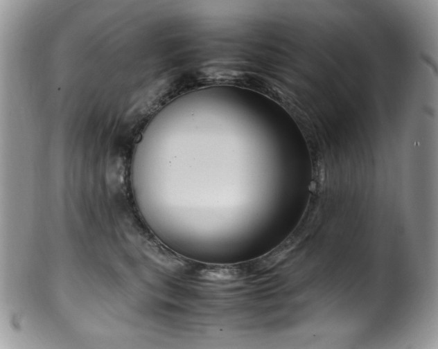 X0000100340567200806051541