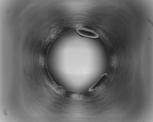 X0000100340568200806051541