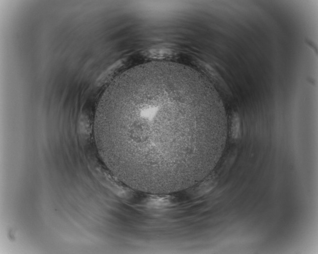X0000100340569200806051541