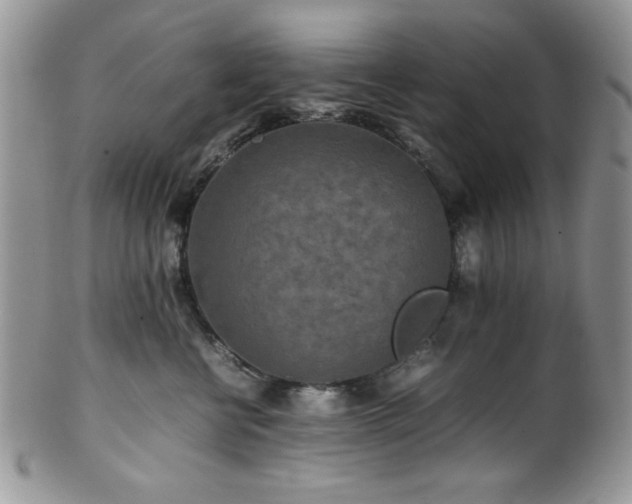 X0000100340570200806051541
