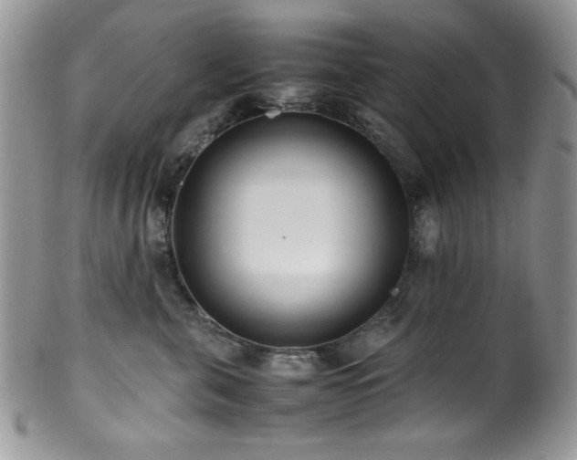 X0000100340571200806051541
