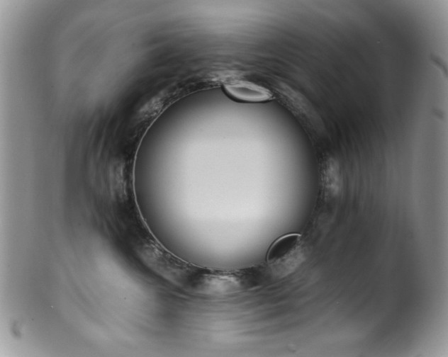 X0000100340572200806051541