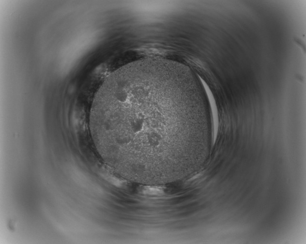 X0000100340573200806051541