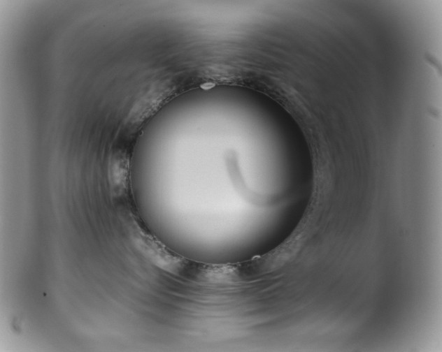 X0000100340576200806051541