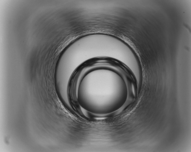 X0000100340577200806051540