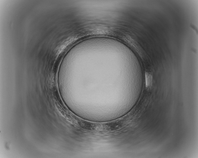 X0000100340579200806051540