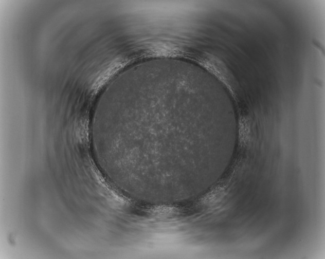 X0000100340581200806051540