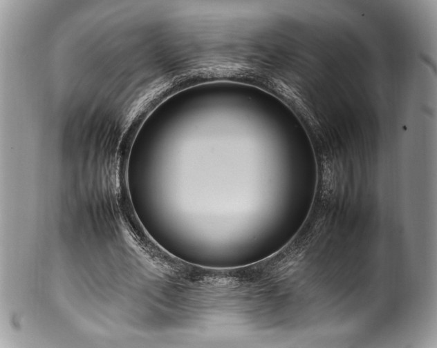 X0000100340582200806051540