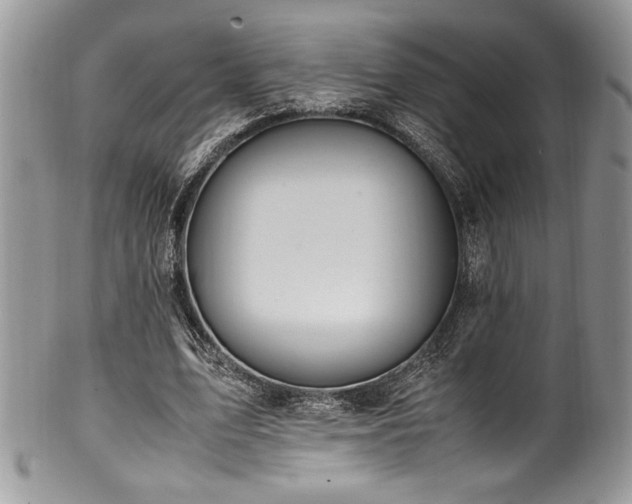 X0000100340583200806051540