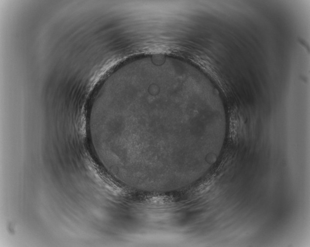 X0000100340584200806051540