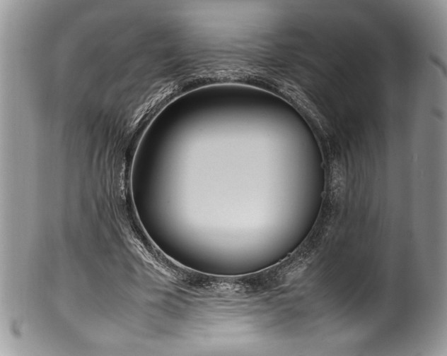 X0000100340585200806051540