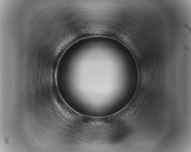 X0000100340586200806051540