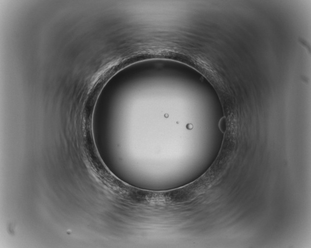 X0000100340587200806051540