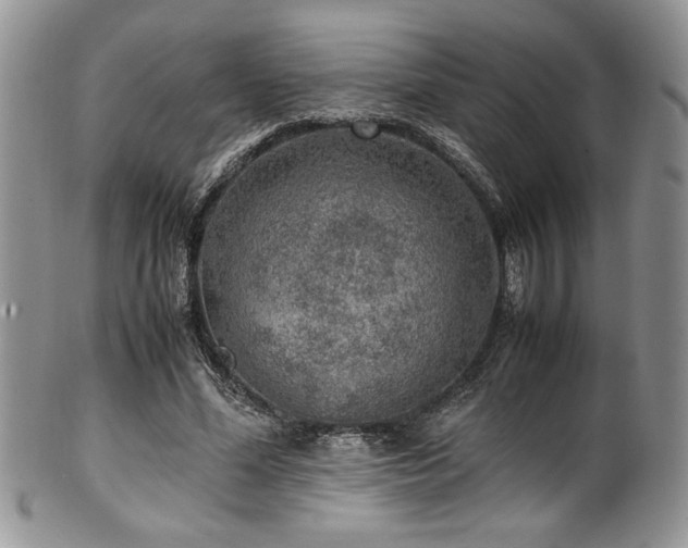 X0000100340588200806051540