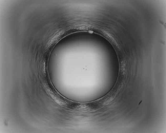 X0000100340589200806051540