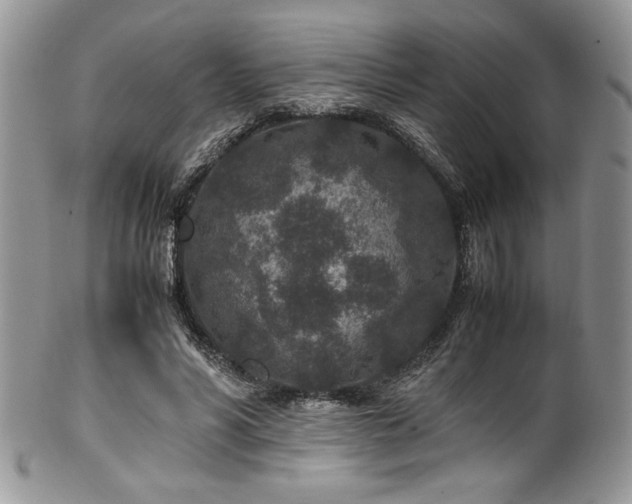 X0000100340590200806051540