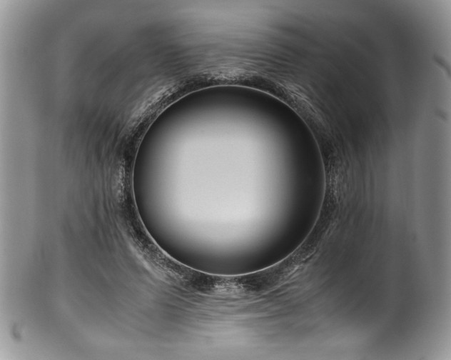 X0000100340591200806051540