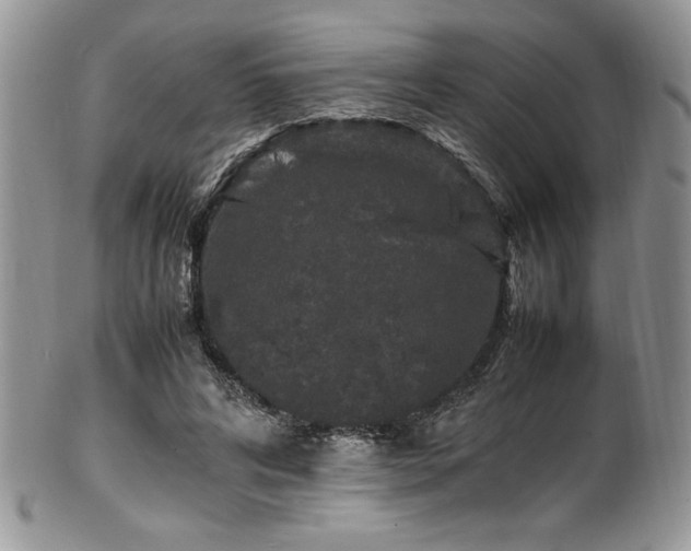 X0000100340592200806051540