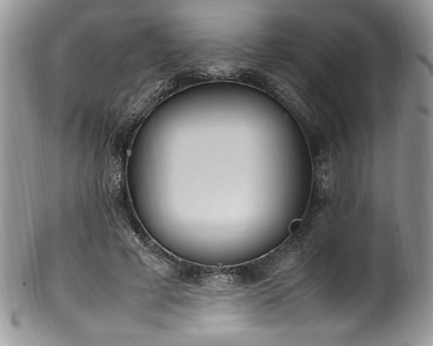 X0000100340593200806051540