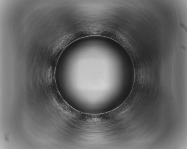 X0000100340594200806051540