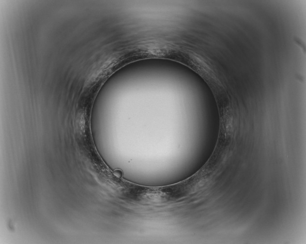 X0000100340595200806051540