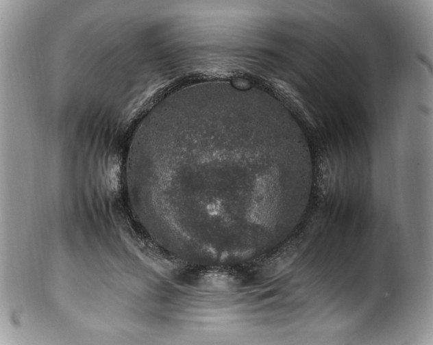 X0000100340596200806051540