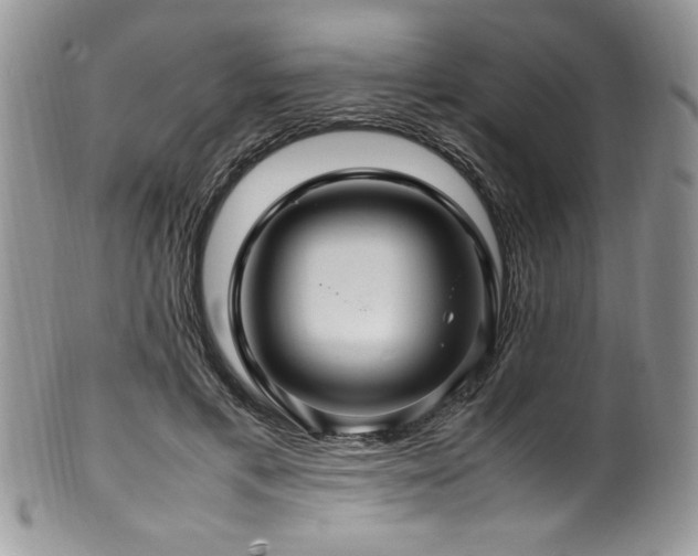 X0000100340597200806051540