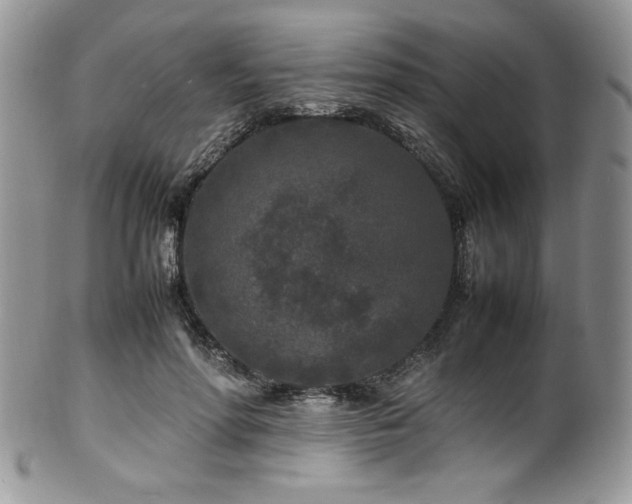 X0000100340598200806051540