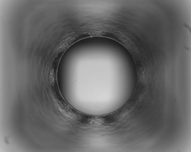 X0000100340599200806051540