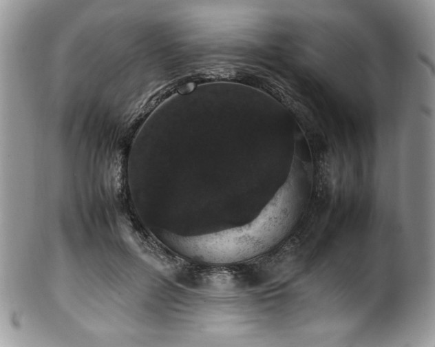 X0000100340600200806051540