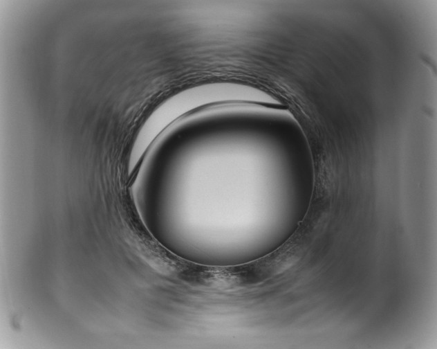X0000100340601200806051540