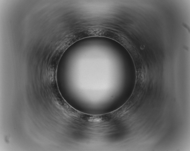 X0000100340602200806051540