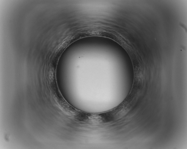 X0000100340603200806051540