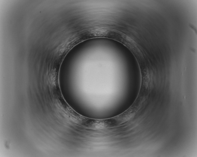X0000100340604200806051540